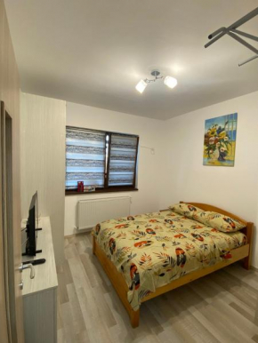 Comfort Class Apartment